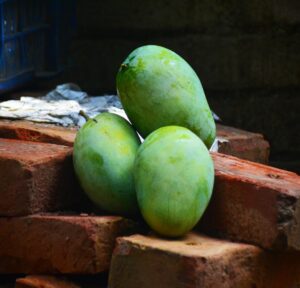আমের নমুনা - 6