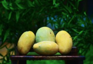 আমের নমুনা - ১