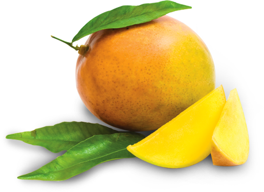 fundaaz-super-nimbu-pani-mango-fruit-lichi-juice-mixed-15
