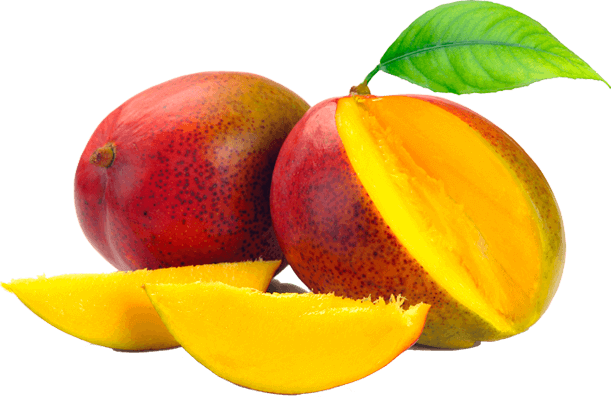 mango-index-meridana-21