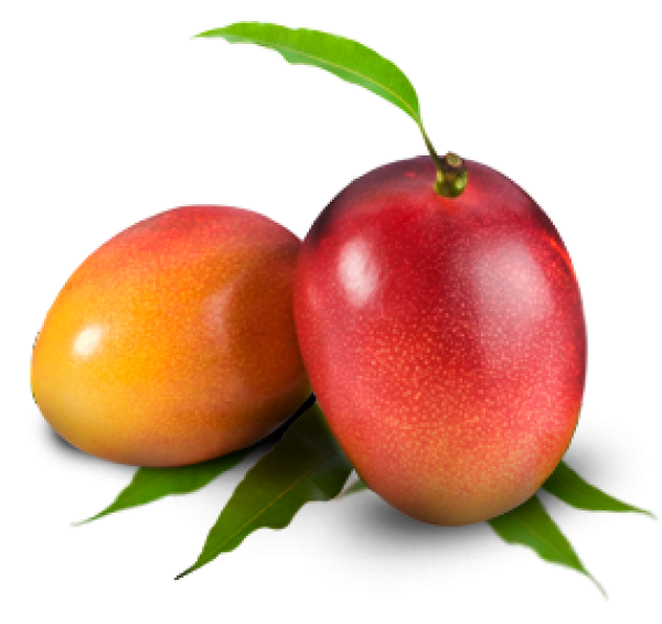 mango-png-free-download-24